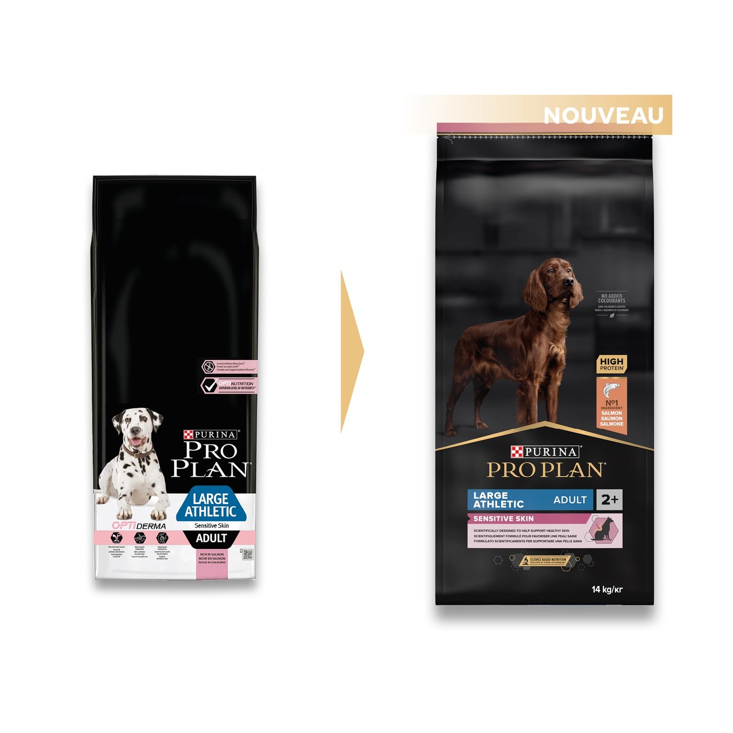 Pro Plan Sensitive Skin Large Athletic Adult au saumon - croquettes chien