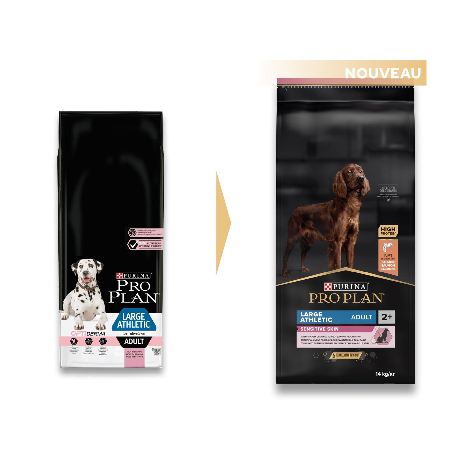 Pro Plan Sensitive Skin Large Athletic Adult au saumon - croquettes chien