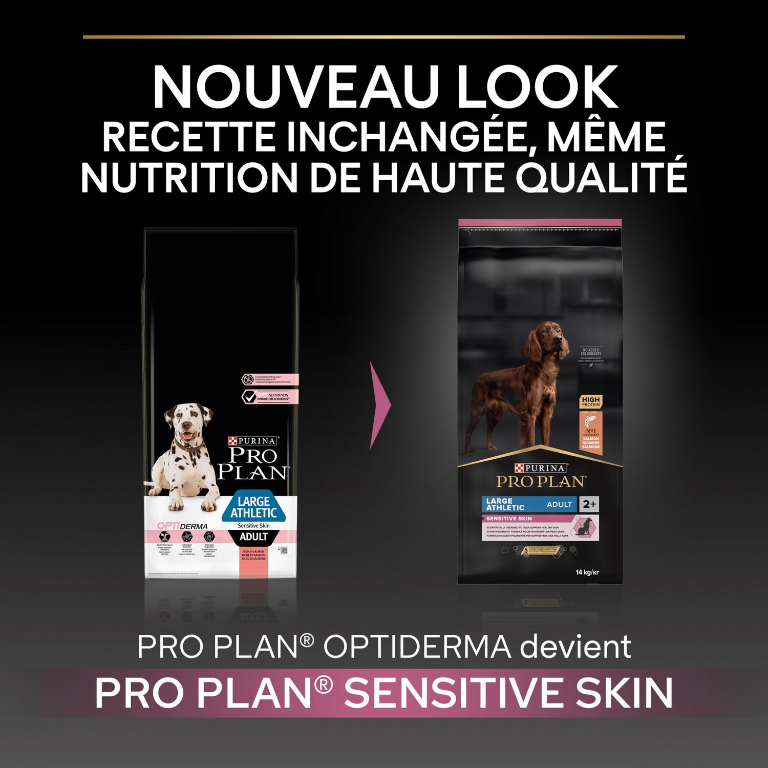 Pro Plan Sensitive Skin Large Athletic Adult au saumon - croquettes chien