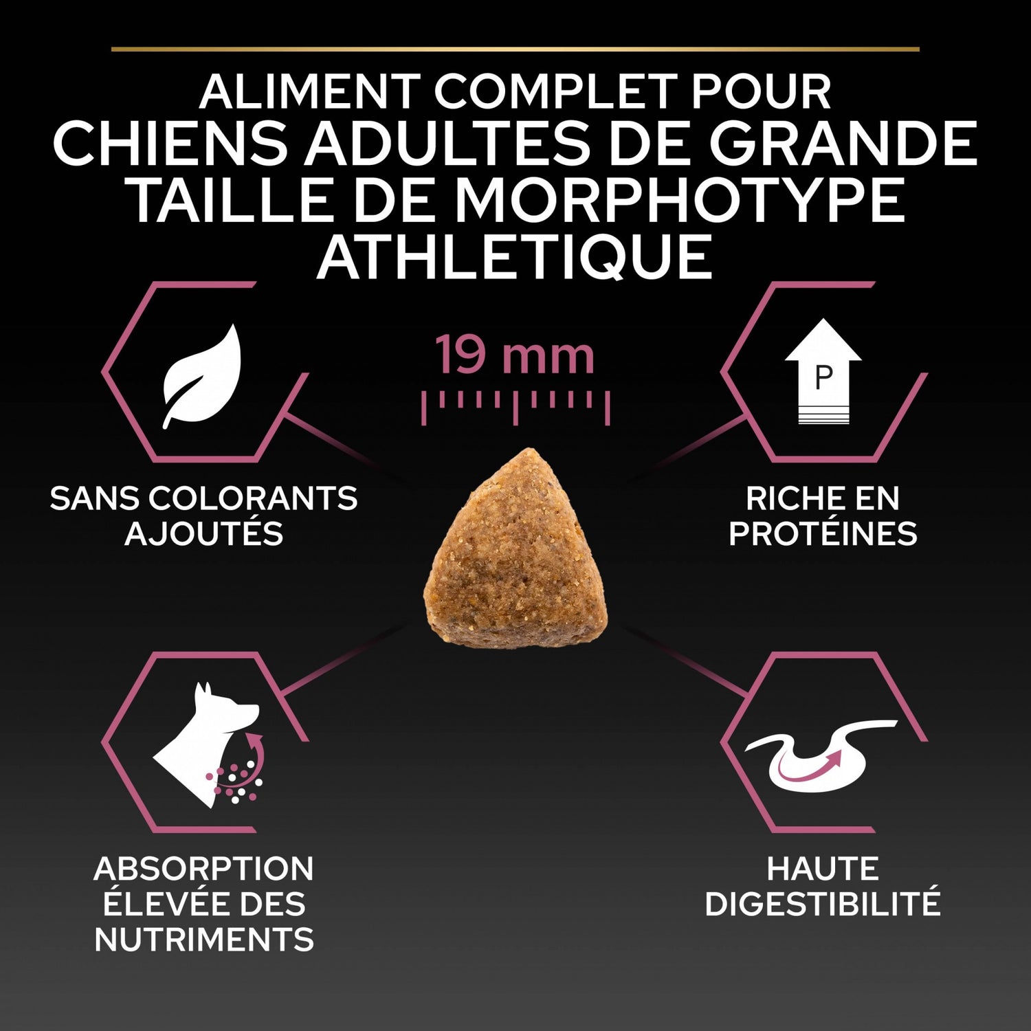 Pro Plan Sensitive Skin Large Athletic Adult au saumon - croquettes chien