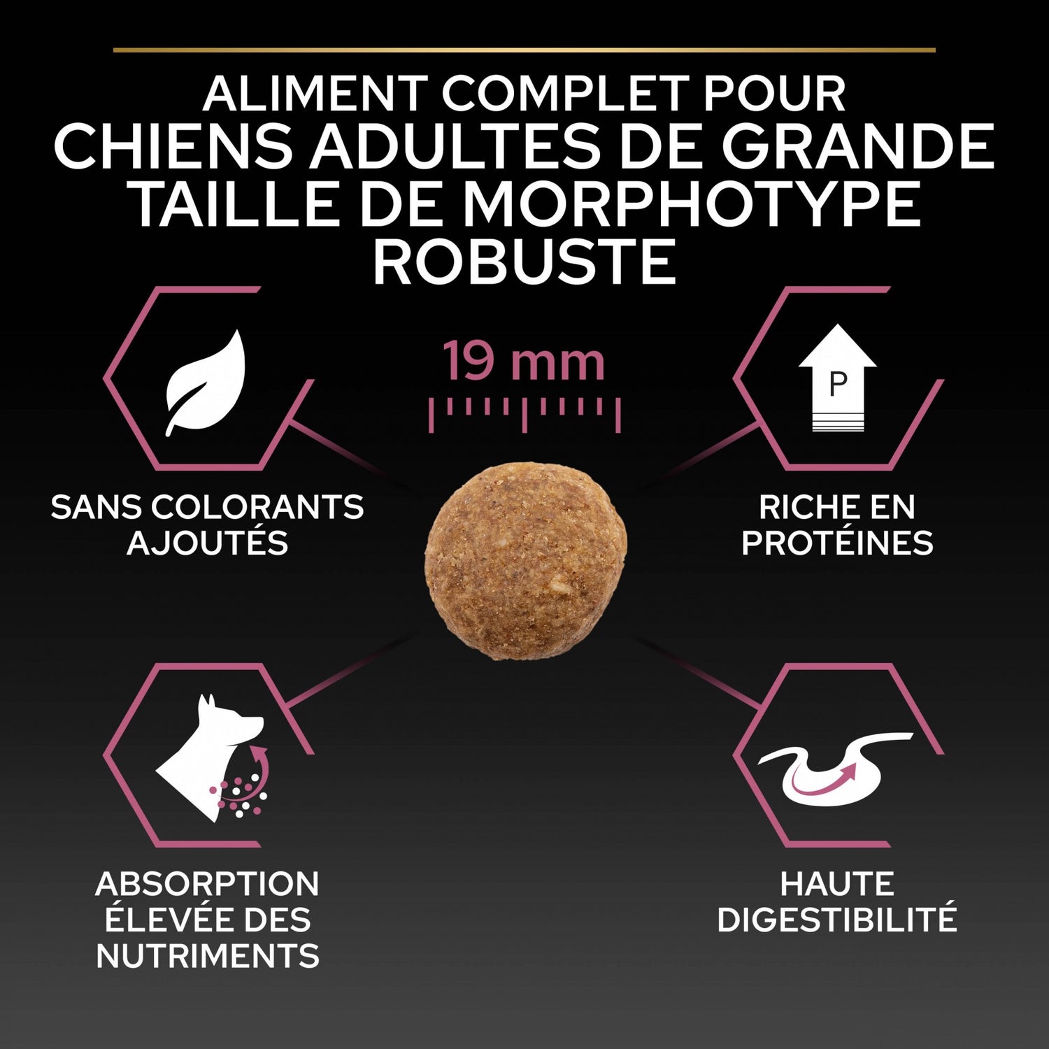 Pro Plan Sensitive Skin Large Robust Adult au saumon - croquettes chien