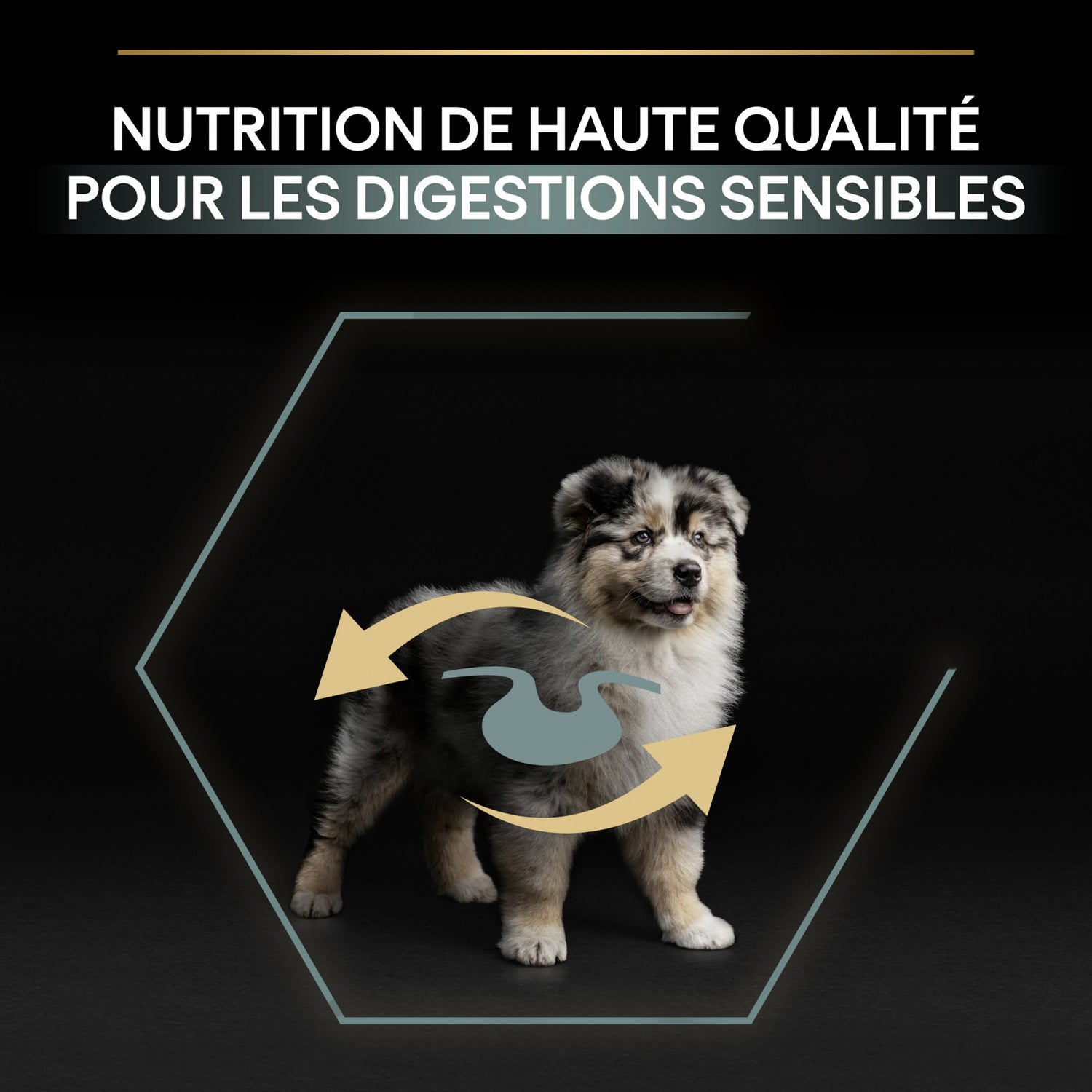 Pro Plan Sensitive Digestion Medium Puppy à l&