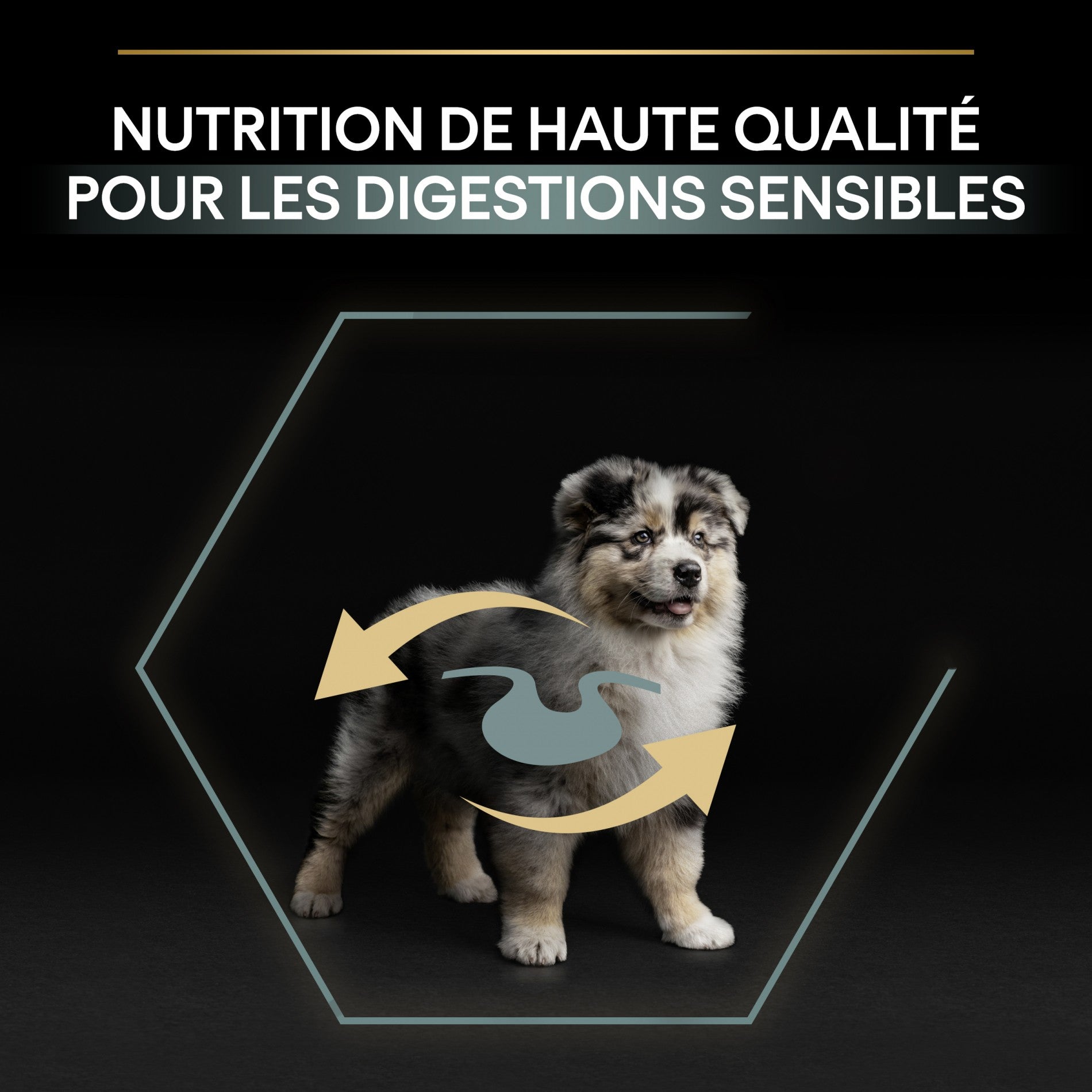 Pro Plan Sensitive Digestion Medium Puppy à l&