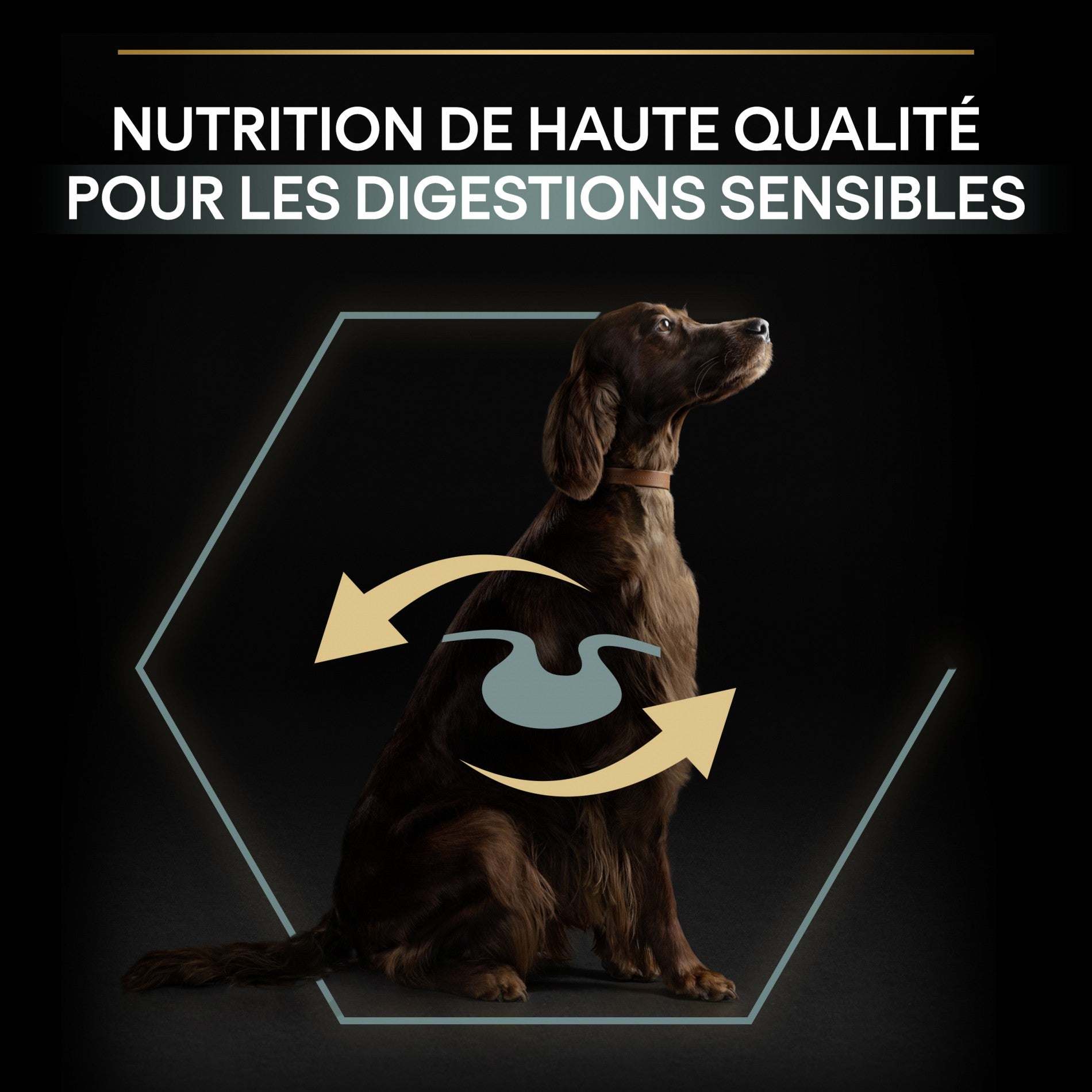 Pro Plan Sensitive Digestion Large Athletic Adult à l&