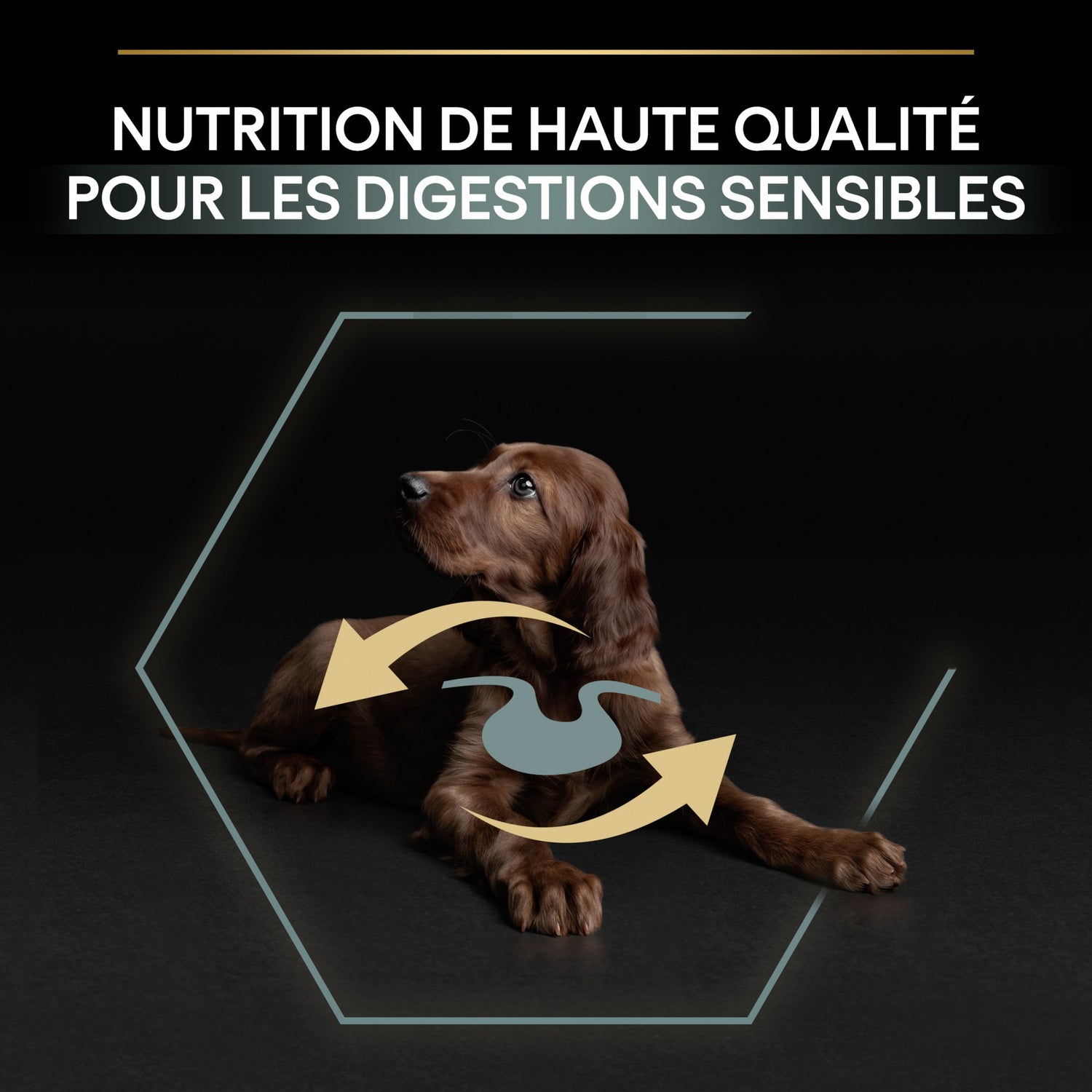 Pro Plan Sensitive Digestion Large Athletic Puppy à l&