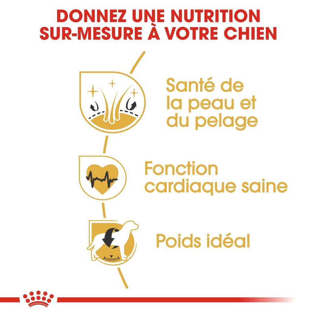 Royal Canin Golden Retriever Adult - Croquettes pour chien