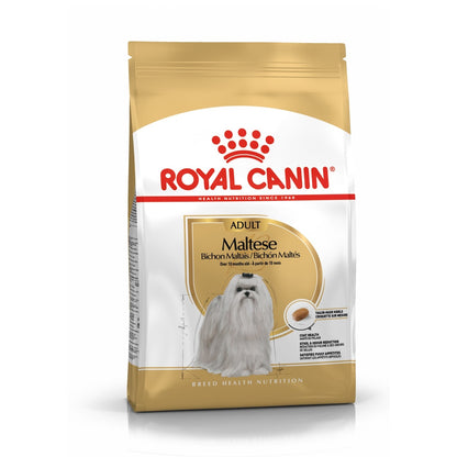 Royal Canin Bichon Maltais Adult - croquettes chien