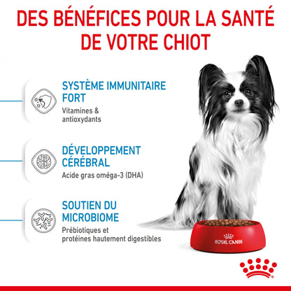 Royal Canin X-Small Puppy - croquettes chiot