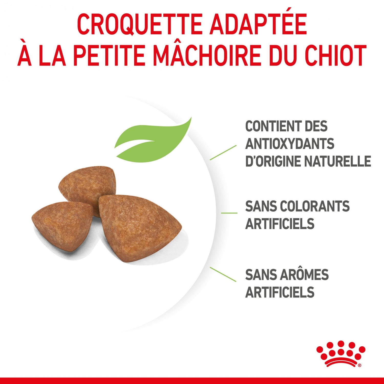 Royal Canin X-Small Puppy - croquettes chiot