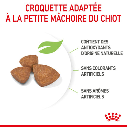 Royal Canin X-Small Puppy - croquettes chiot