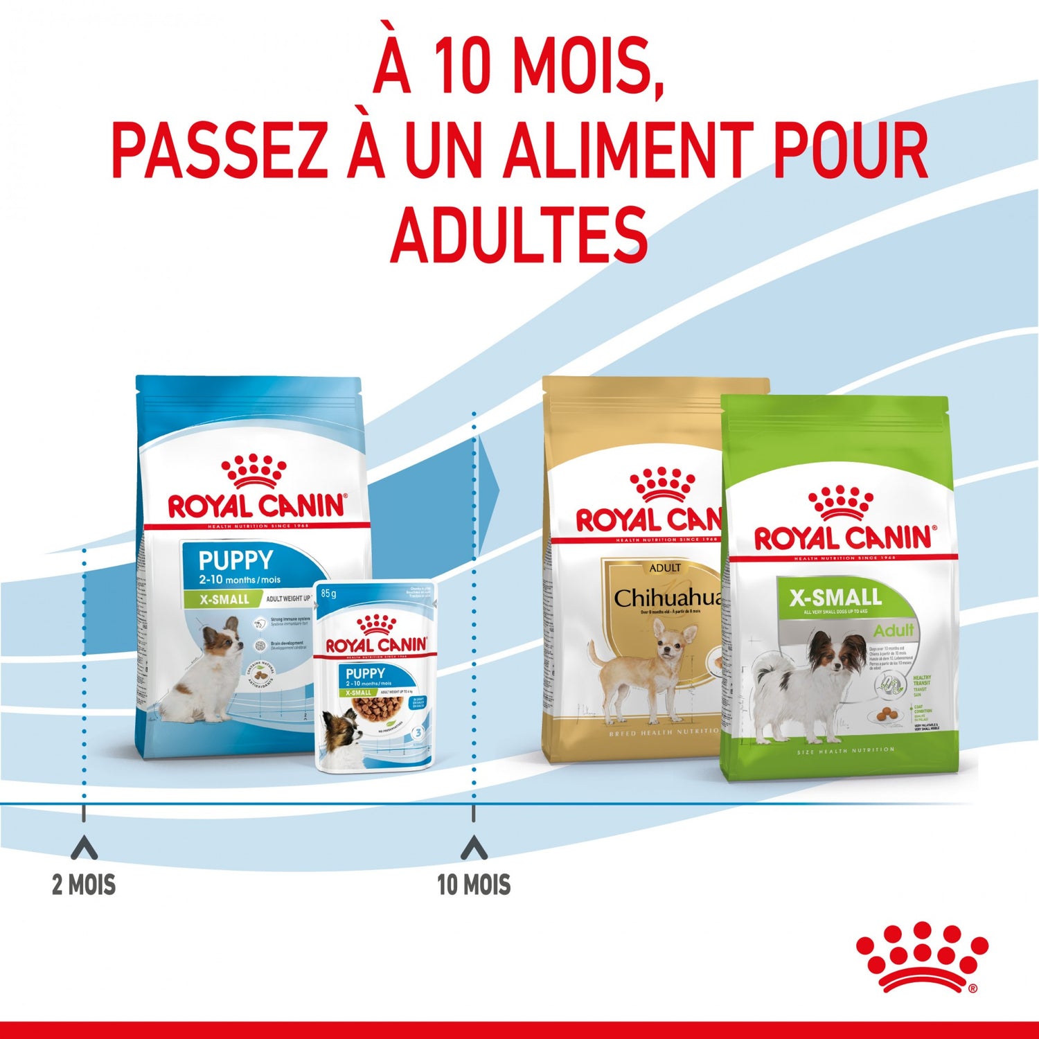 Royal Canin X-Small Puppy - croquettes chiot