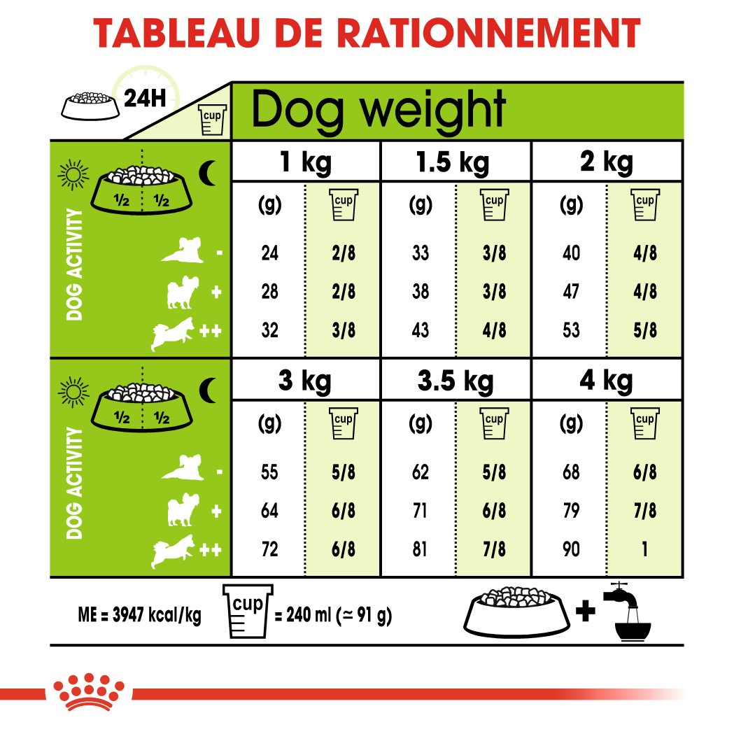 Royal Canin X-Small Ageing 12