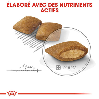 Royal Canin Mini Exigent - croquettes chien