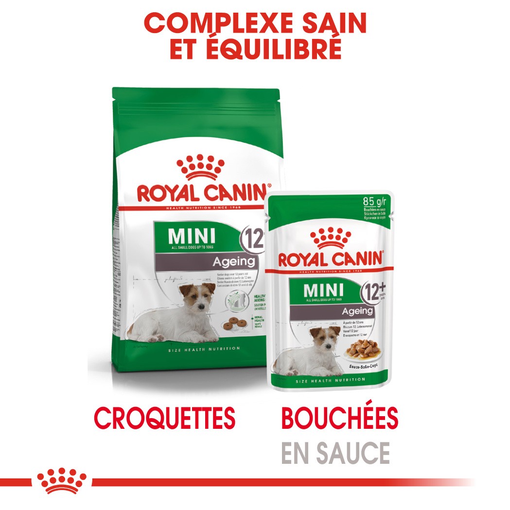 Royal Canin Mini Ageing 12+  - croquettes chien