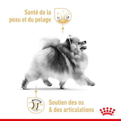 Royal Canin Pomeranian Adult (Spitz Nain) - pâtée chien