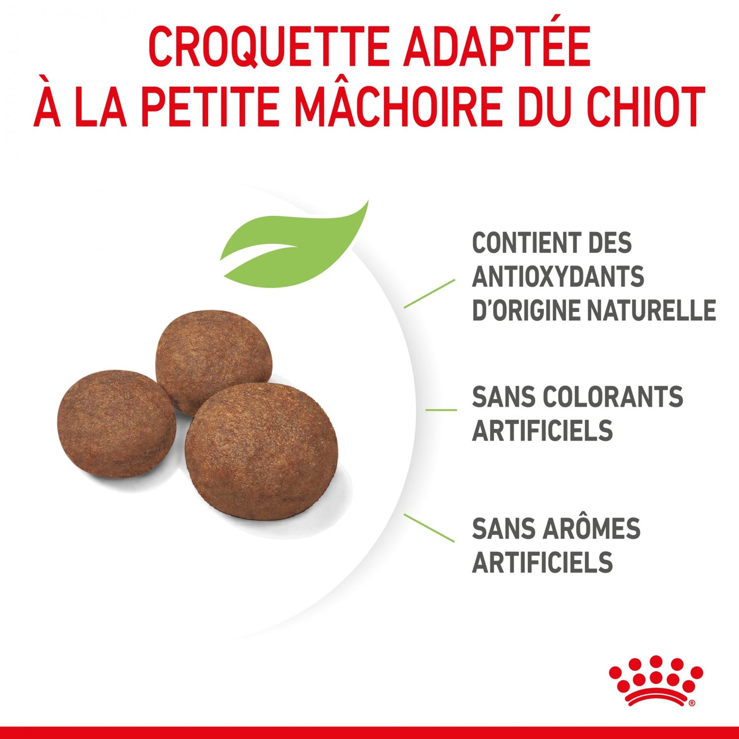 Royal Canin Medium Puppy - croquettes chiot