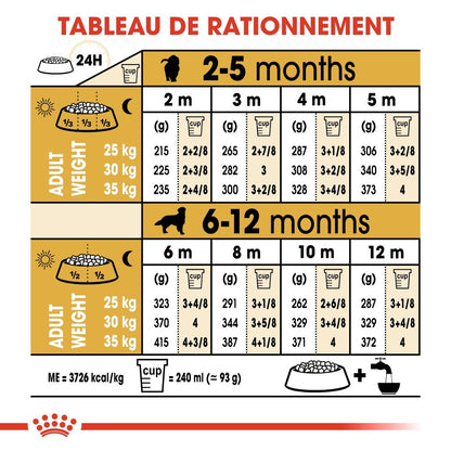Royal Canin Golden Retriever Puppy - Croquettes pour chiot