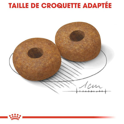 Royal Canin Medium Ageing 10+ - croquettes chien