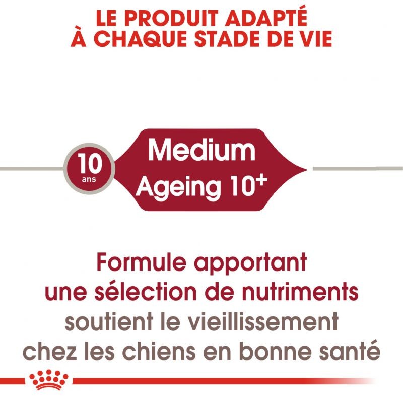 Royal Canin Medium Ageing 10+ - croquettes chien