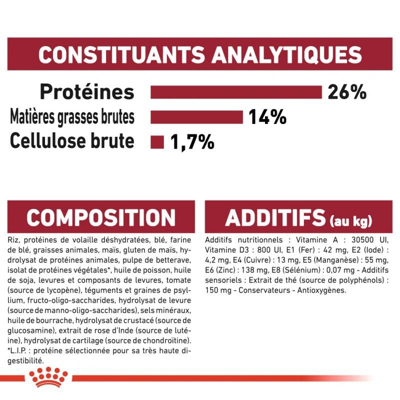 Royal Canin Medium Ageing 10+ - croquettes chien