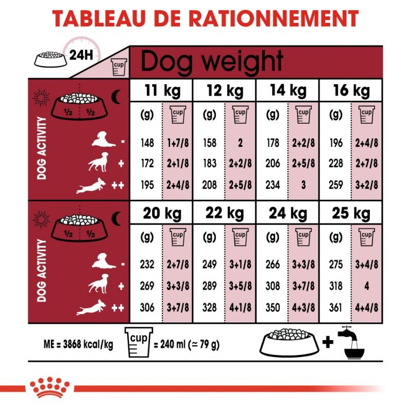 Royal Canin Medium Ageing 10+ - croquettes chien