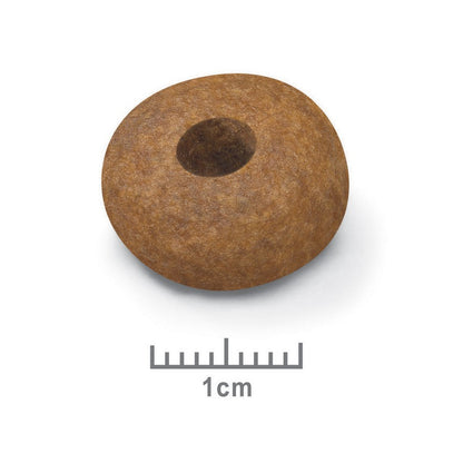 Royal Canin Medium Ageing 10+ - croquettes chien