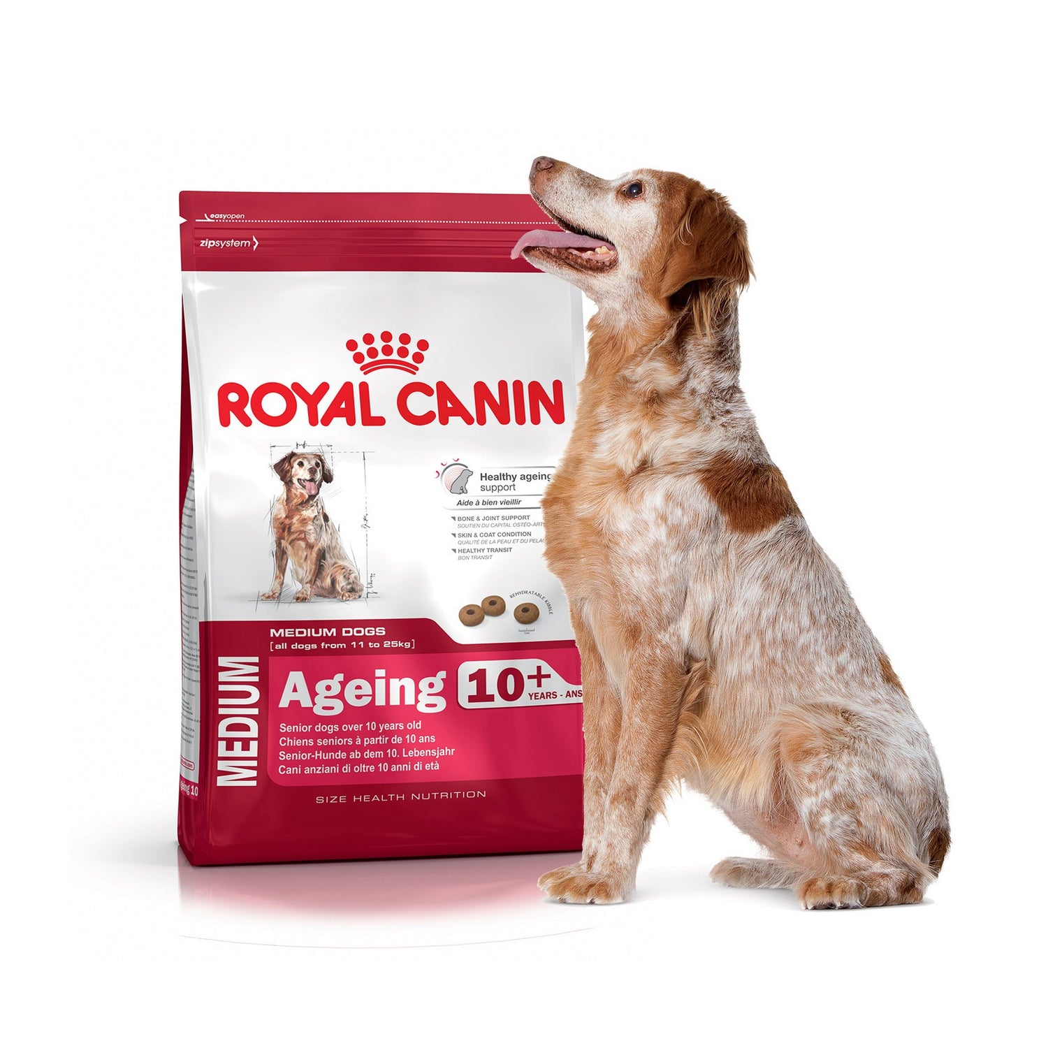 Royal Canin Medium Ageing 10+ - croquettes chien