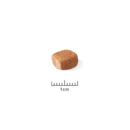 Royal Canin Teckel Puppy (Dachshund) - croquettes chiot
