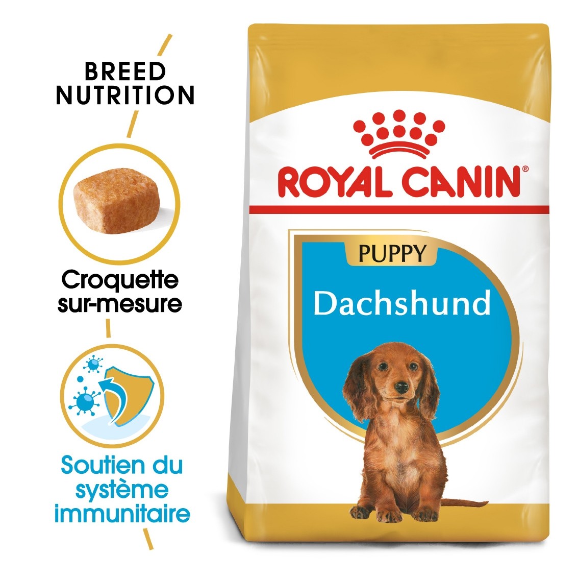 Royal Canin Teckel Puppy (Dachshund) - croquettes chiot