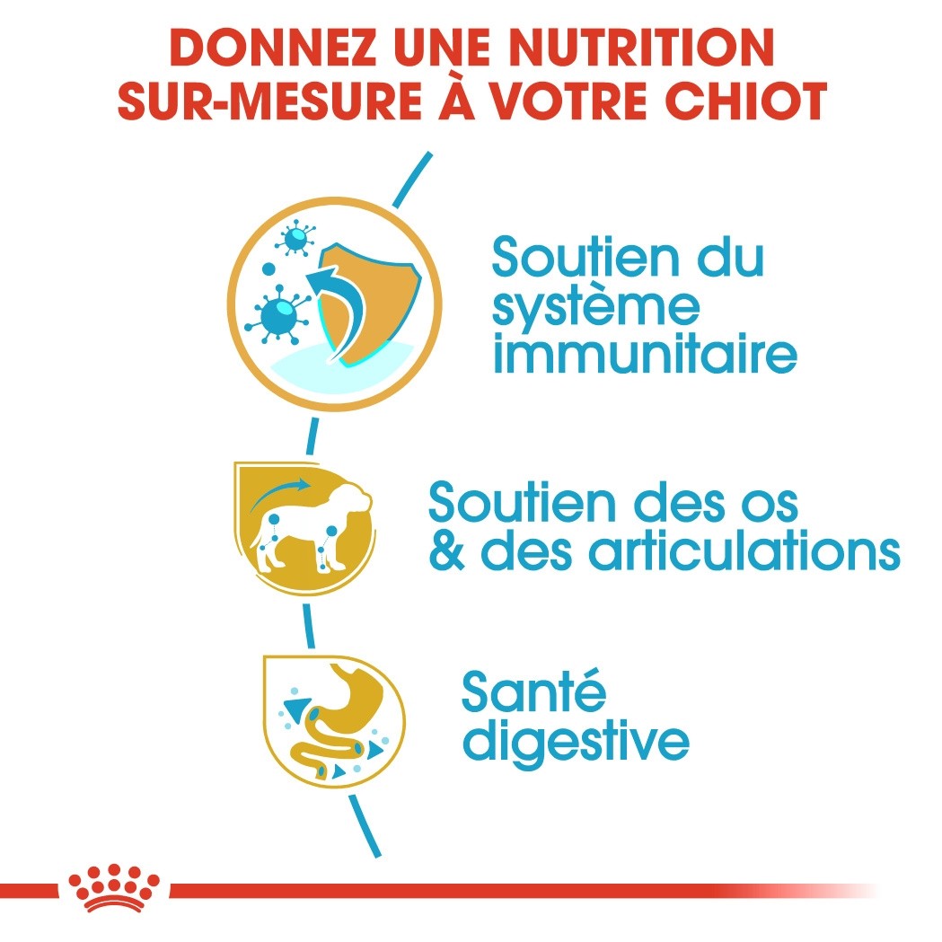 Royal Canin Teckel Puppy (Dachshund) - croquettes chiot