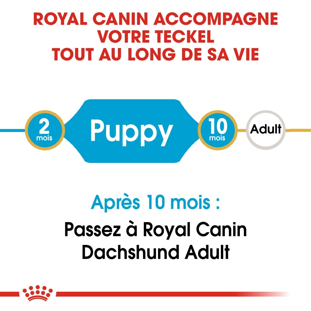Royal Canin Teckel Puppy (Dachshund) - croquettes chiot
