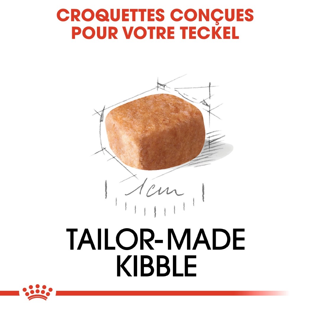 Royal Canin Teckel Puppy (Dachshund) - croquettes chiot