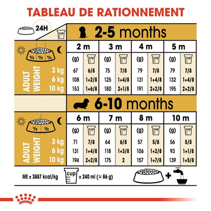 Royal Canin Teckel Puppy (Dachshund) - croquettes chiot