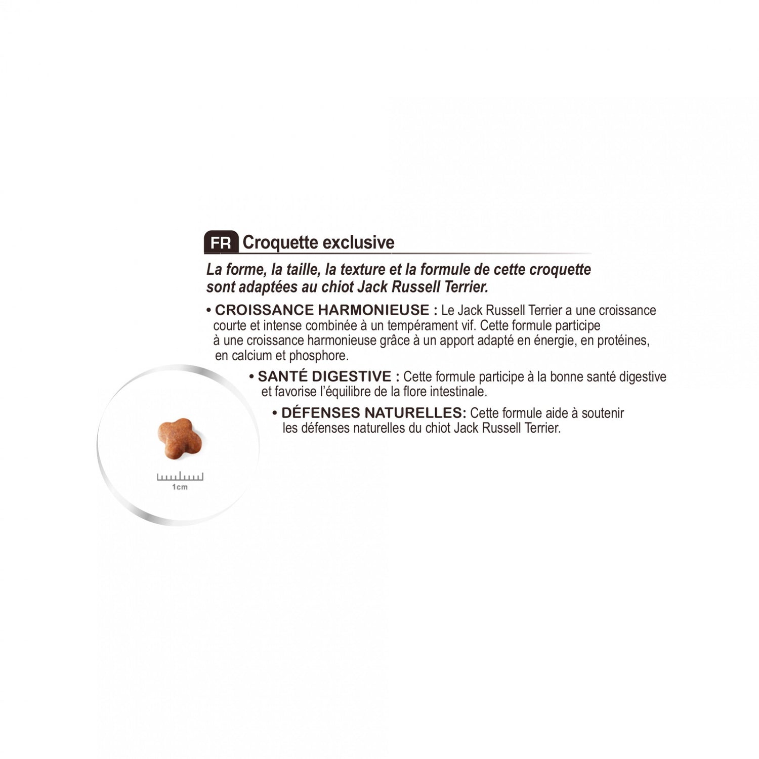 Royal Canin Jack Russell Puppy - croquettes chiot