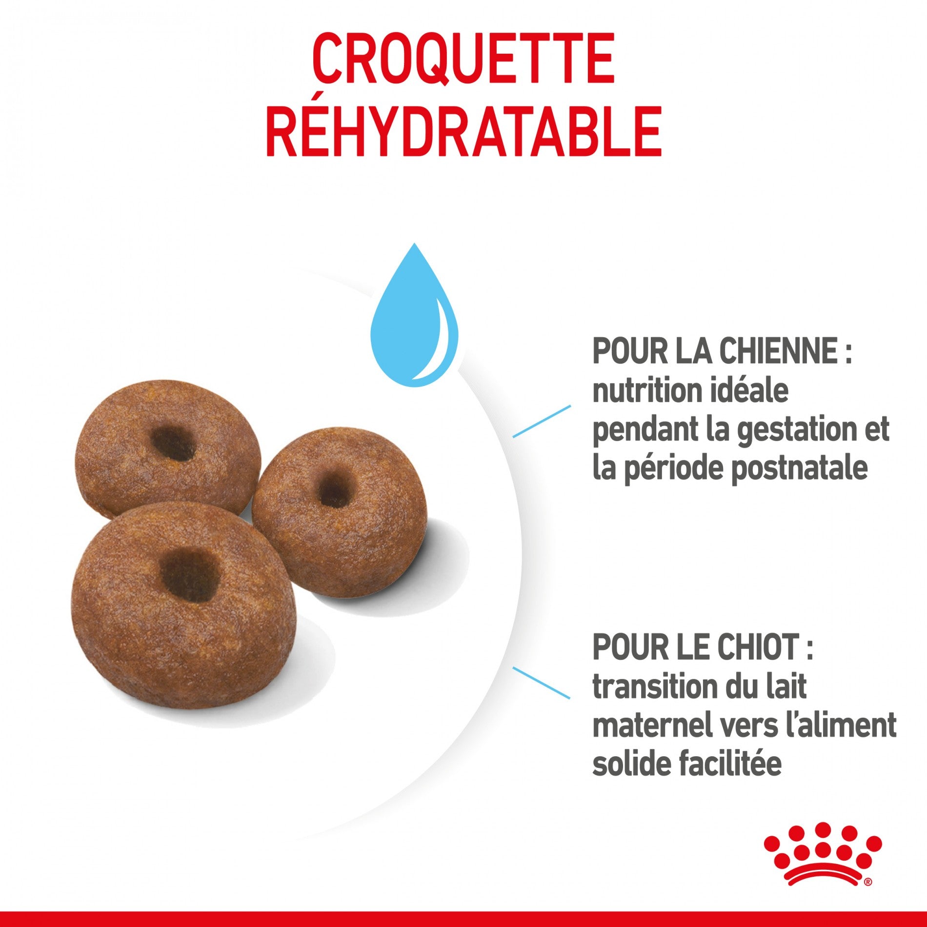 ROYAL CANIN Size Nutrition