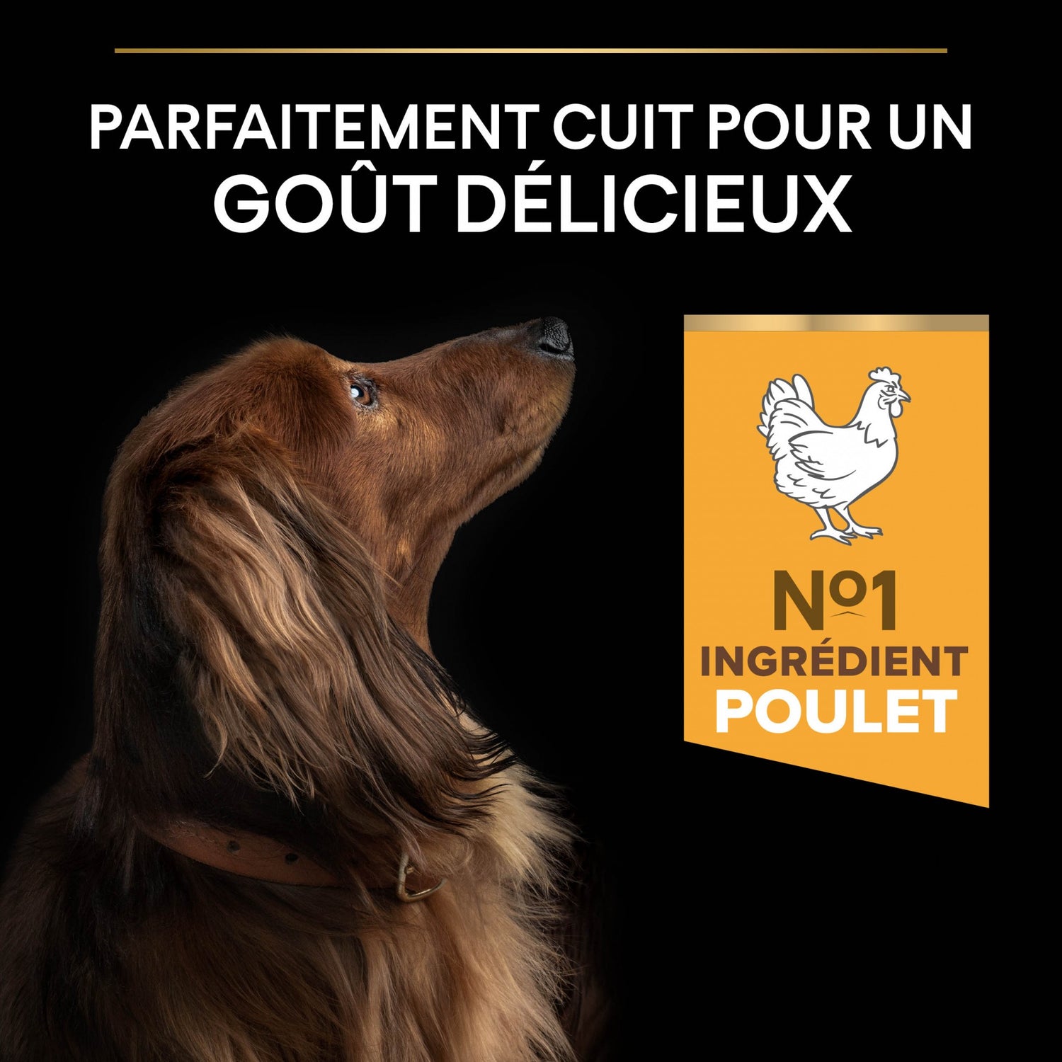 Pro Plan Light/Sterilised Small &amp; Mini Adult au poulet - croquettes chien