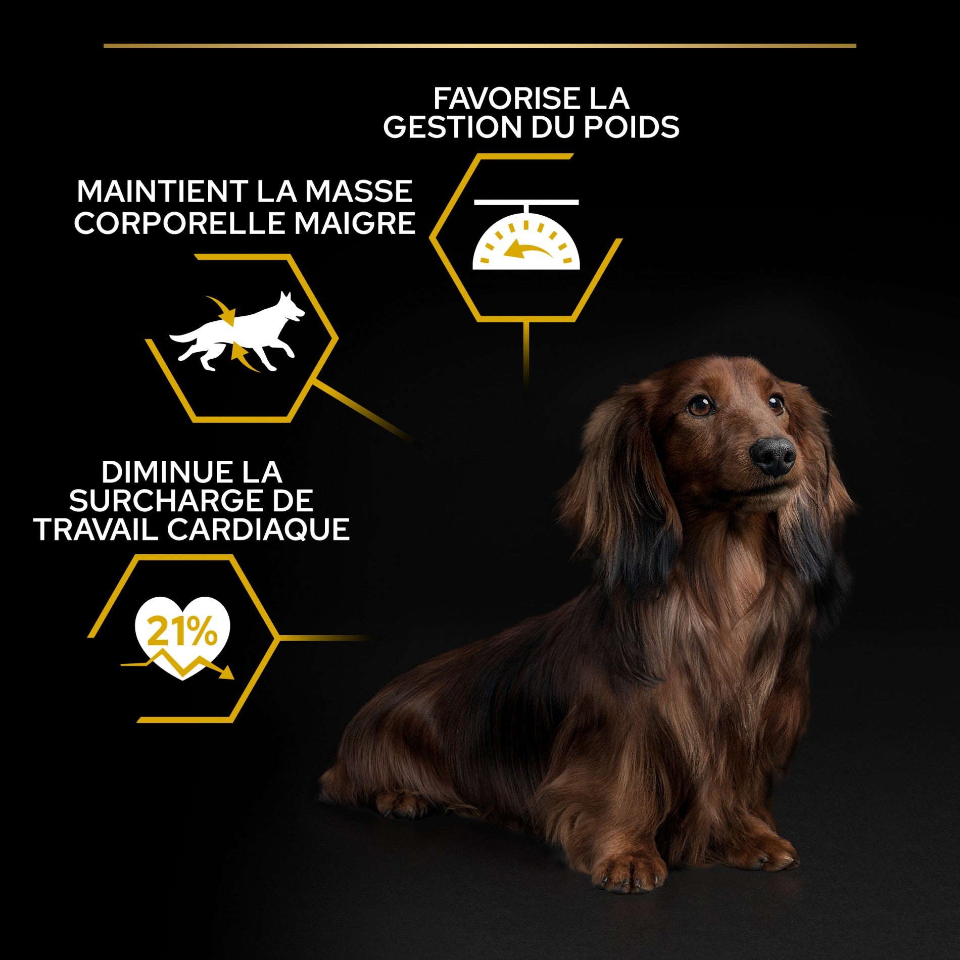 Pro Plan Light/Sterilised Small &amp; Mini Adult au poulet - croquettes chien