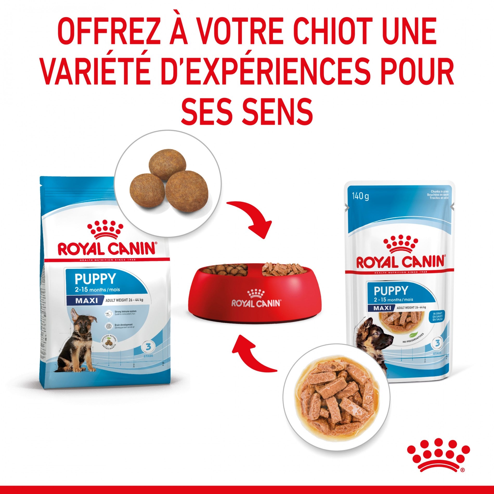 Royal Canin Maxi Puppy en sauce - pâtée chiot
