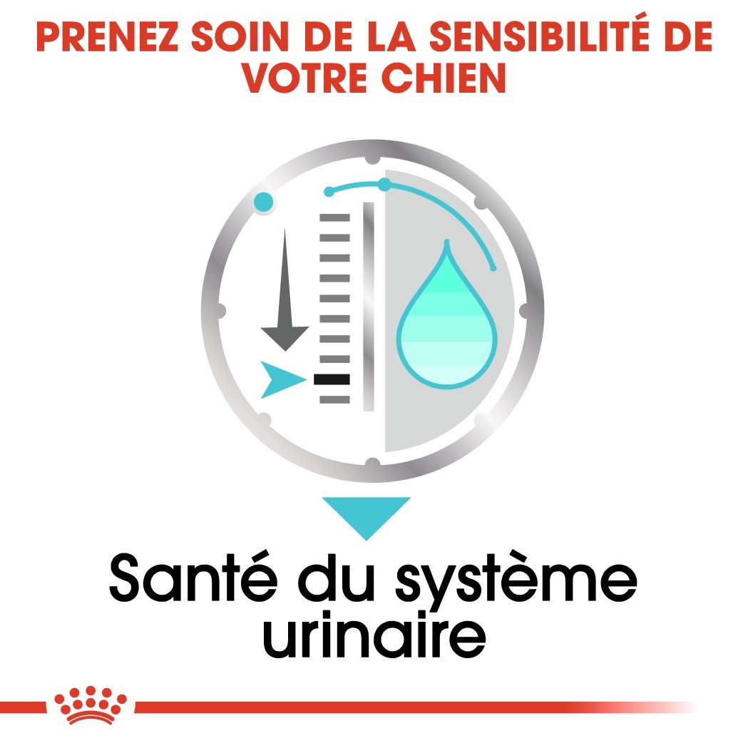 Royal Canin Urinary Care - Pâtée pour chien