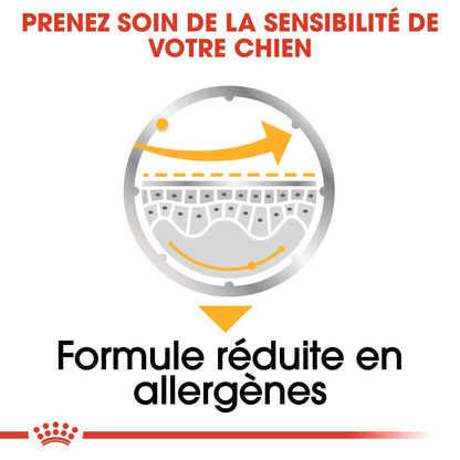 Royal Canin Dermacomfort - Pâtée pour chien