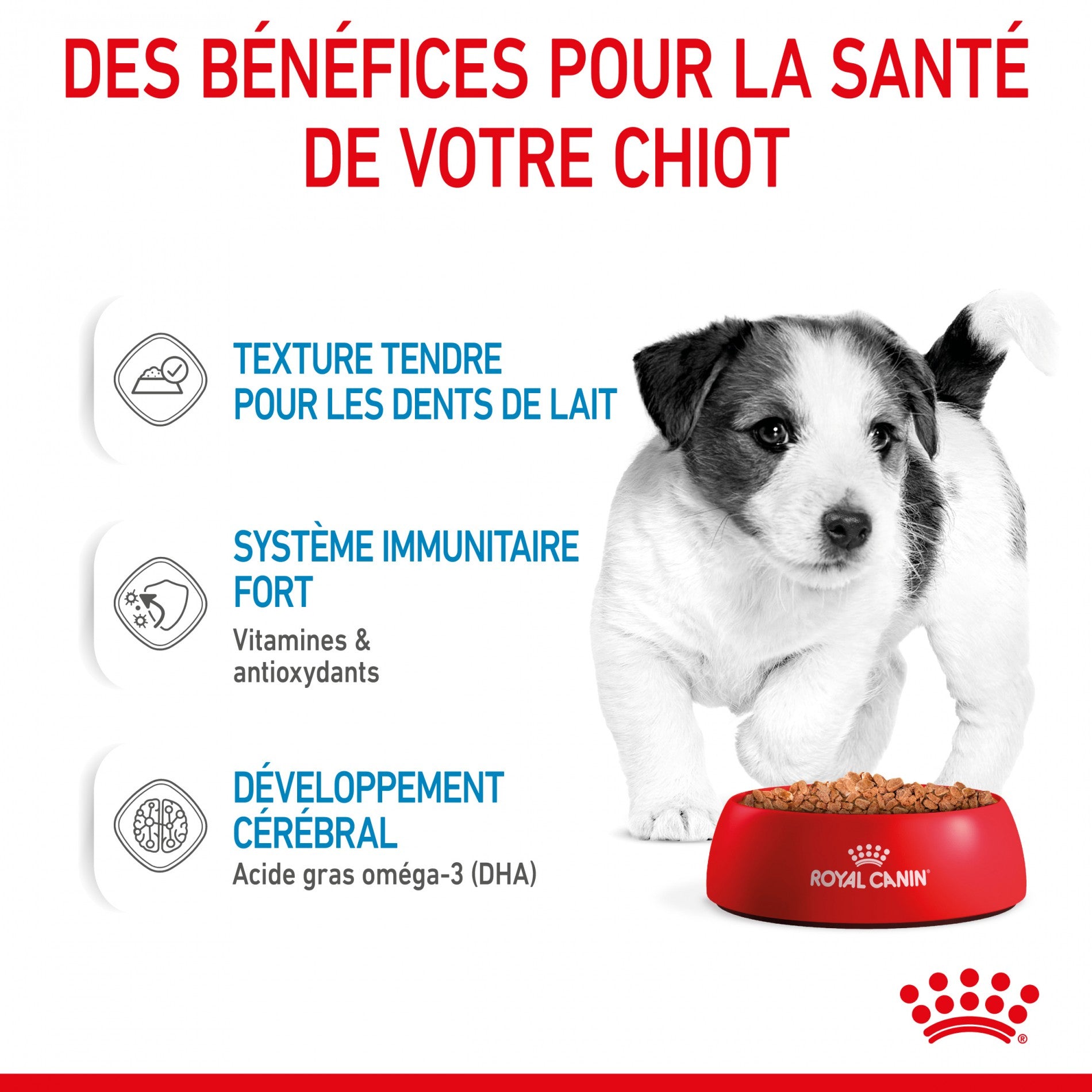 Royal Canin Mini Puppy - pâtée chiot
