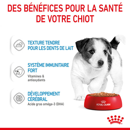 Royal Canin Mini Puppy - pâtée chiot