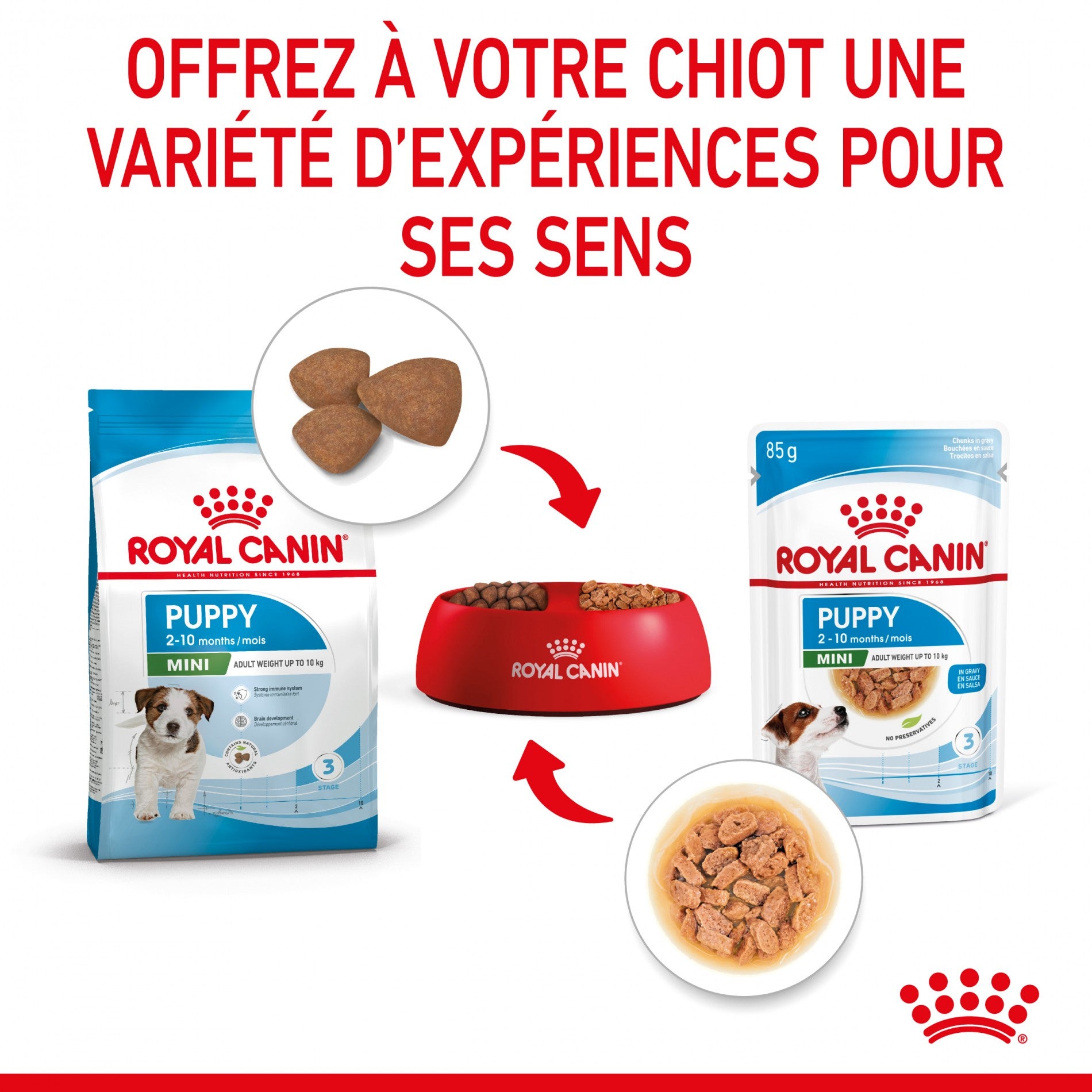 Royal Canin Mini Puppy - pâtée chiot
