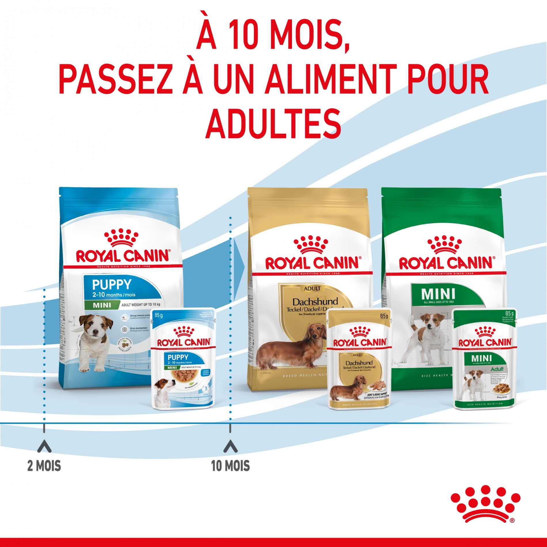 Royal Canin Mini Puppy - pâtée chiot