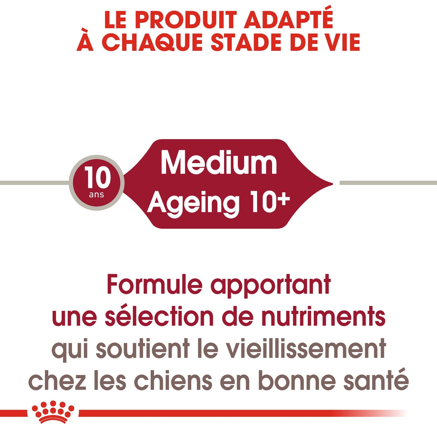 Royal Canin Medium Ageing 10+ en sauce - pâtée chien