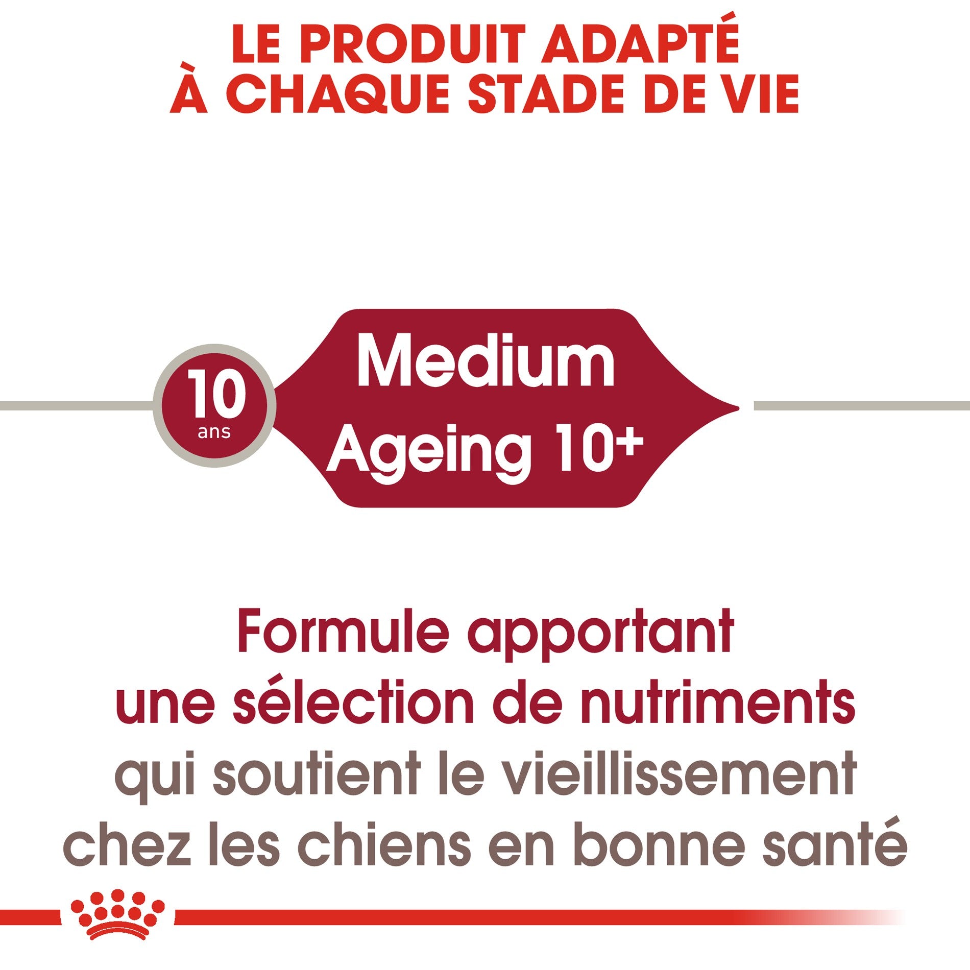 Royal Canin Medium Ageing 10+ en sauce - pâtée chien