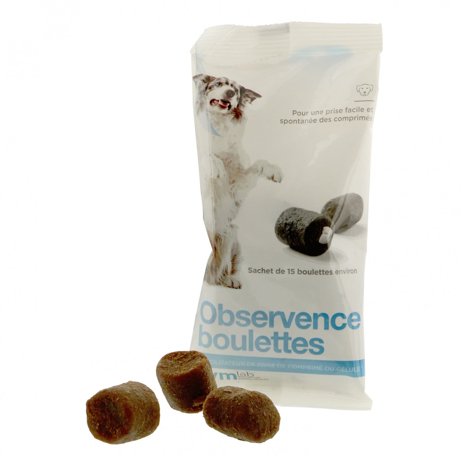 Observence boulettes chien