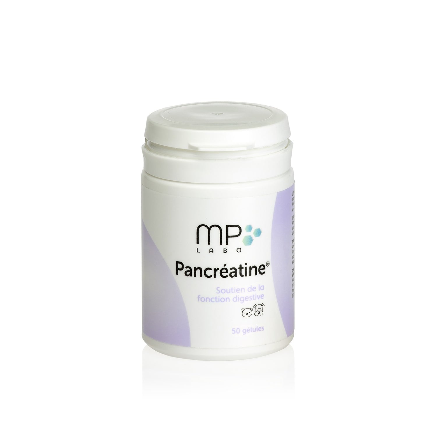 Pancreatine chat, chien