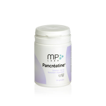 Pancreatine chat, chien