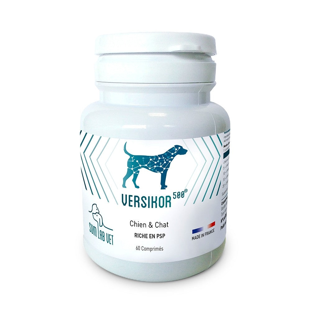 Versikor 500® - chien et chat